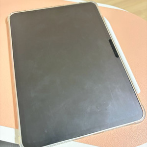 아이패드 프로m4 11인치 와이파이 512기가