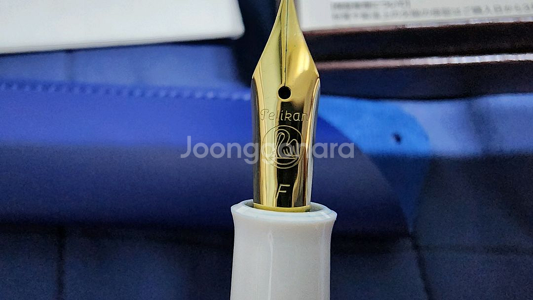 펠리칸 M200 파스텔 블루 F닙--1