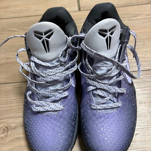 코비 6 eybl 팔아용