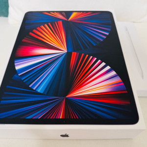 아이패드 프로 5세대 12.9형 셀룰러 256기가, 애