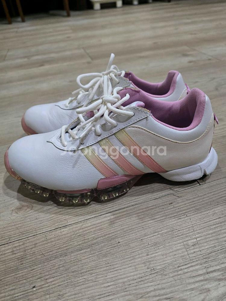 아디다스 골프 여성가죽 골프화 230mm--0