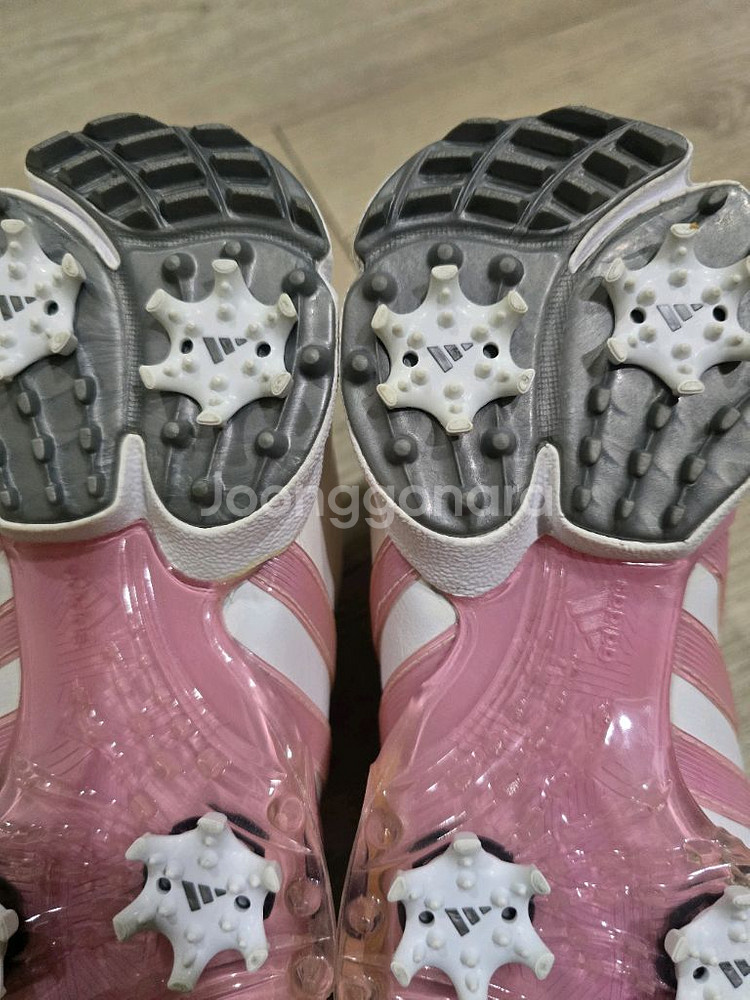 아디다스 골프 여성가죽 골프화 230mm--8