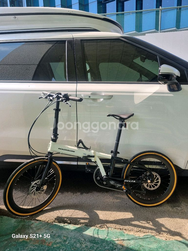 메디슨 델타 10se 25년형 접이식 미니벨로--0