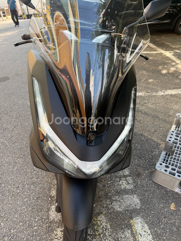 2025pcx--1