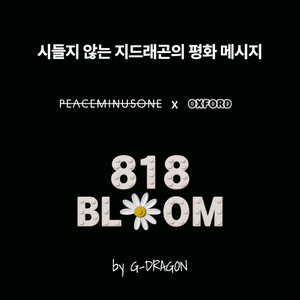 지드래곤 818bloom 옥스포드 블럭