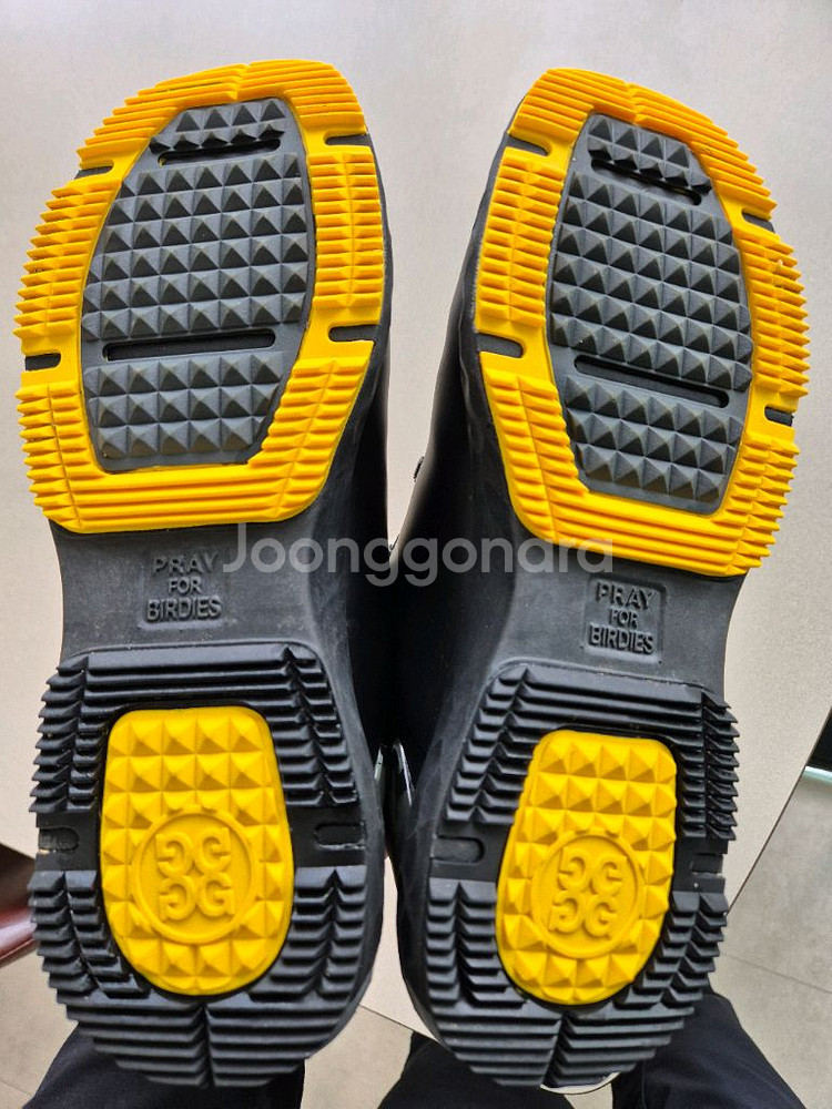 지포어 지드라이브 골프화--3