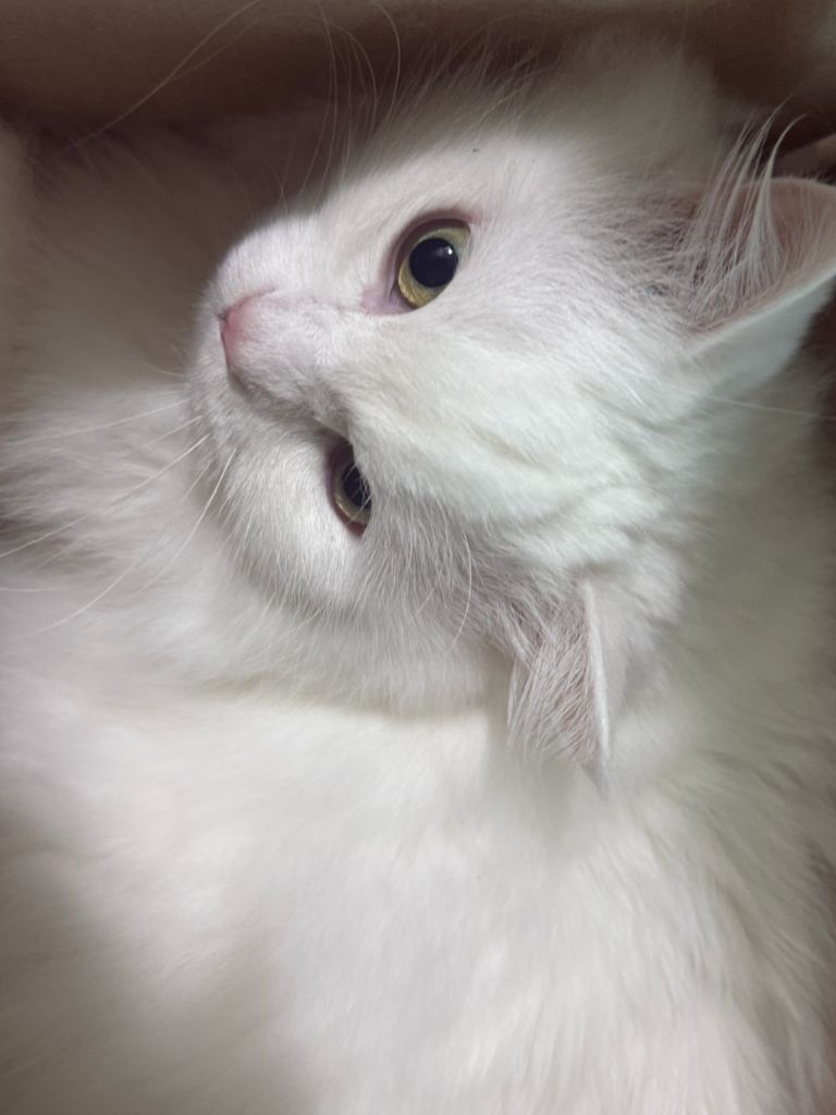 profile-image