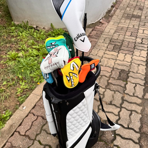 골프채 세트 판매합니다