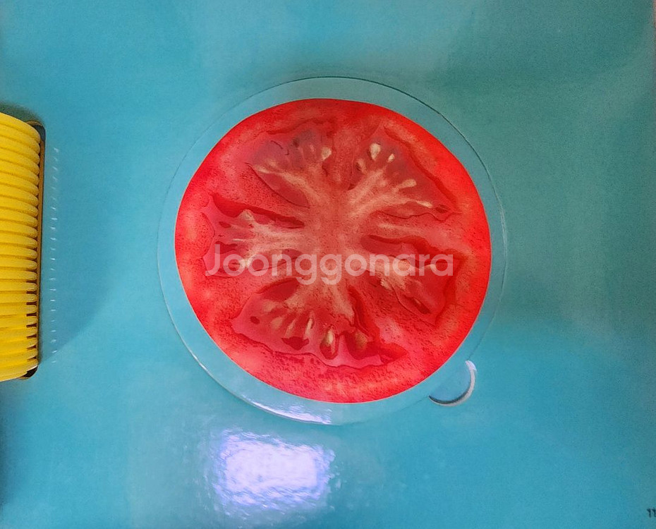 프뢰벨 영아다중에듀씽킹펜버전 전구성--8