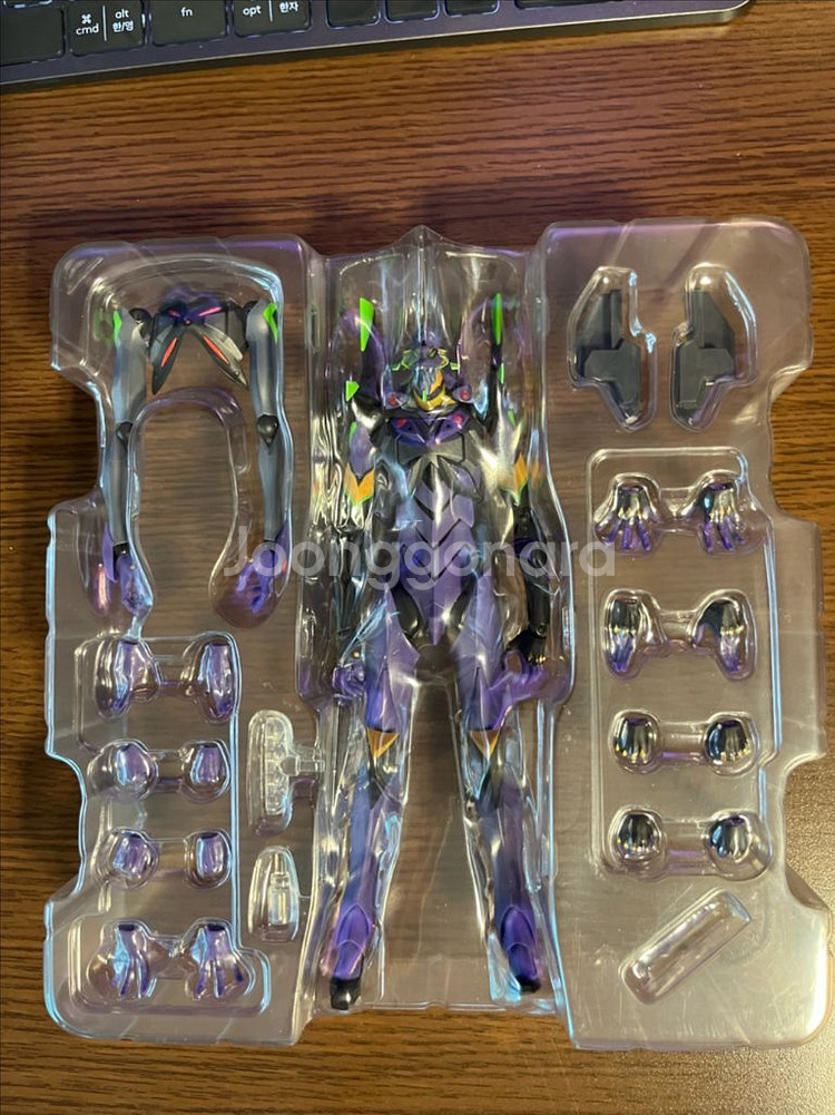 로봇혼 에반게리온 13호기--2