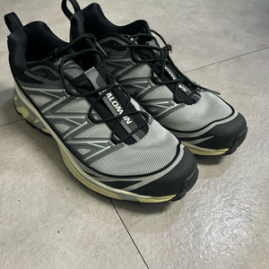 살로몬 salomon xt-6 익스팬스 290