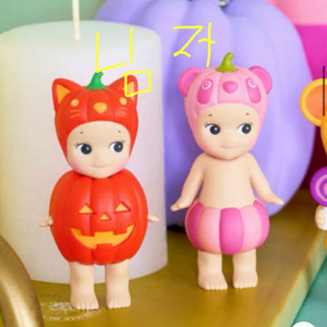 교환) 소니엔젤 펌킨 패치 판다 고양이