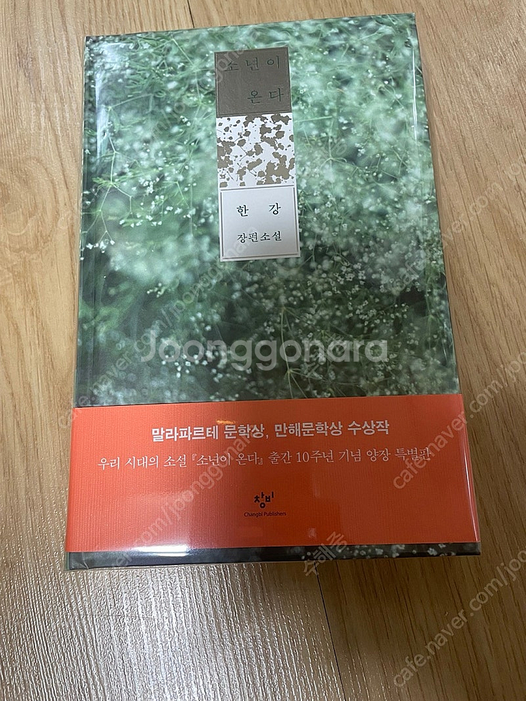 [택포] 한강, 소년이 온다 (10주년 한정 특별판 팜--0
