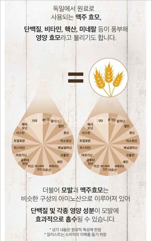 트리트룸 더모어 맥주효모 탈모케어 탈모관리 샴푸--4