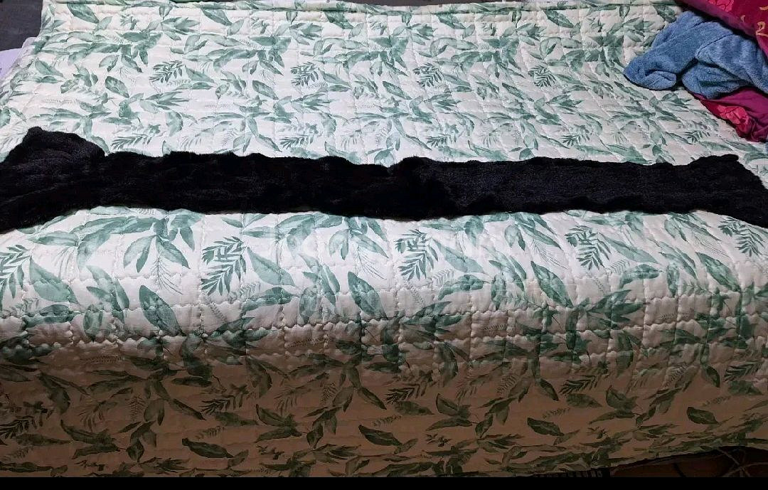 캉아지 이동가방--5