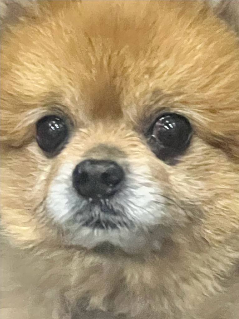 profile-image