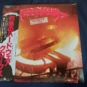 수입 헤비메탈 엘피 LP