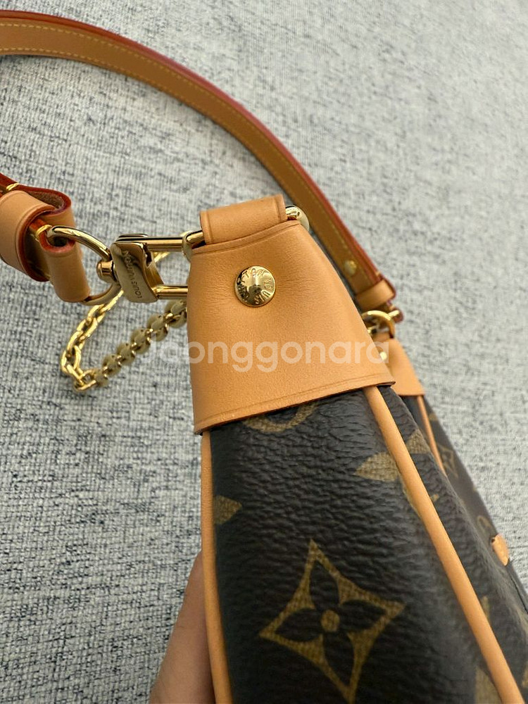 루이비통 루프백--9