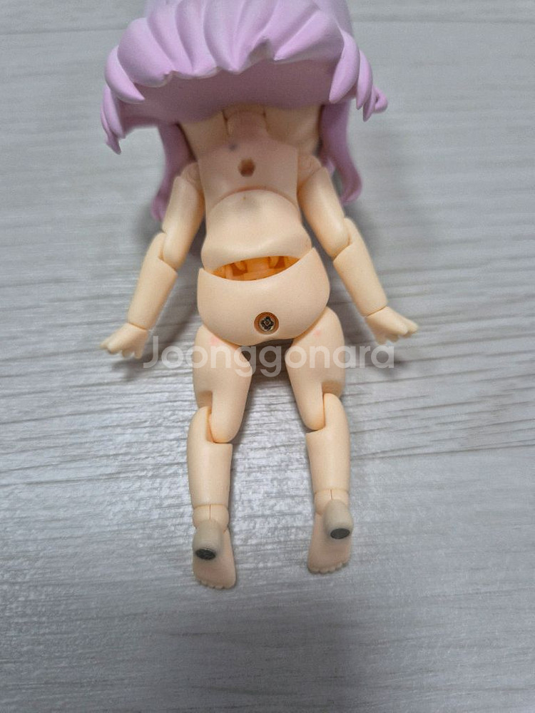 후지와라 치카 넨도 돌--2
