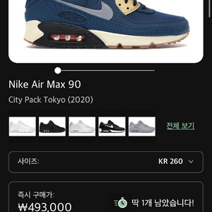나이키 에어맥스 도쿄 에디션