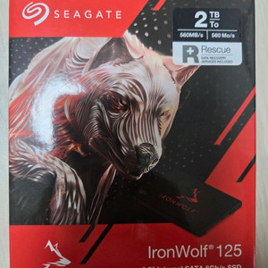 Seagate IronWolf 125 2TB SSD