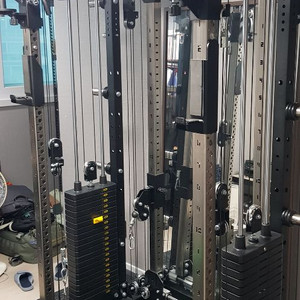 (설치포함)와일든0896d판매합니다.홈짐 블랙벳