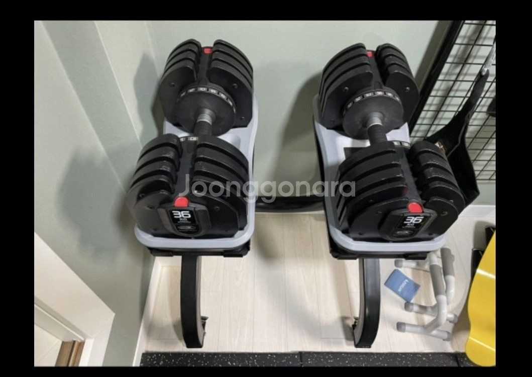 바디엑스 무게조절 담벨 36kg 1쌍(2개)--0