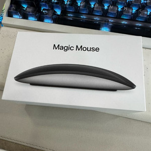 애플 매직마우스2