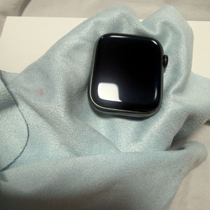 애플워치9 스테인리스(그파) 45mm 배터리100