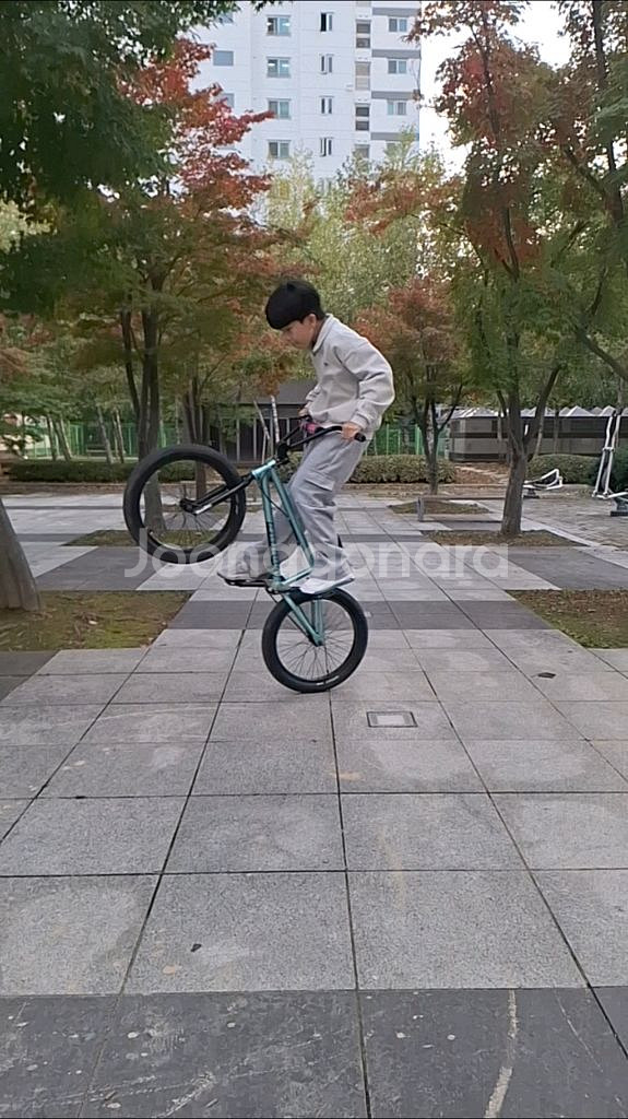 선데이 BMX--6