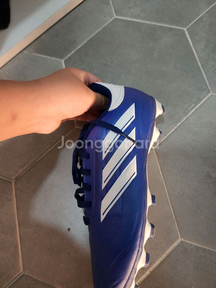 아디다스 축구화 컬러:블루 사이즈:230mm--3