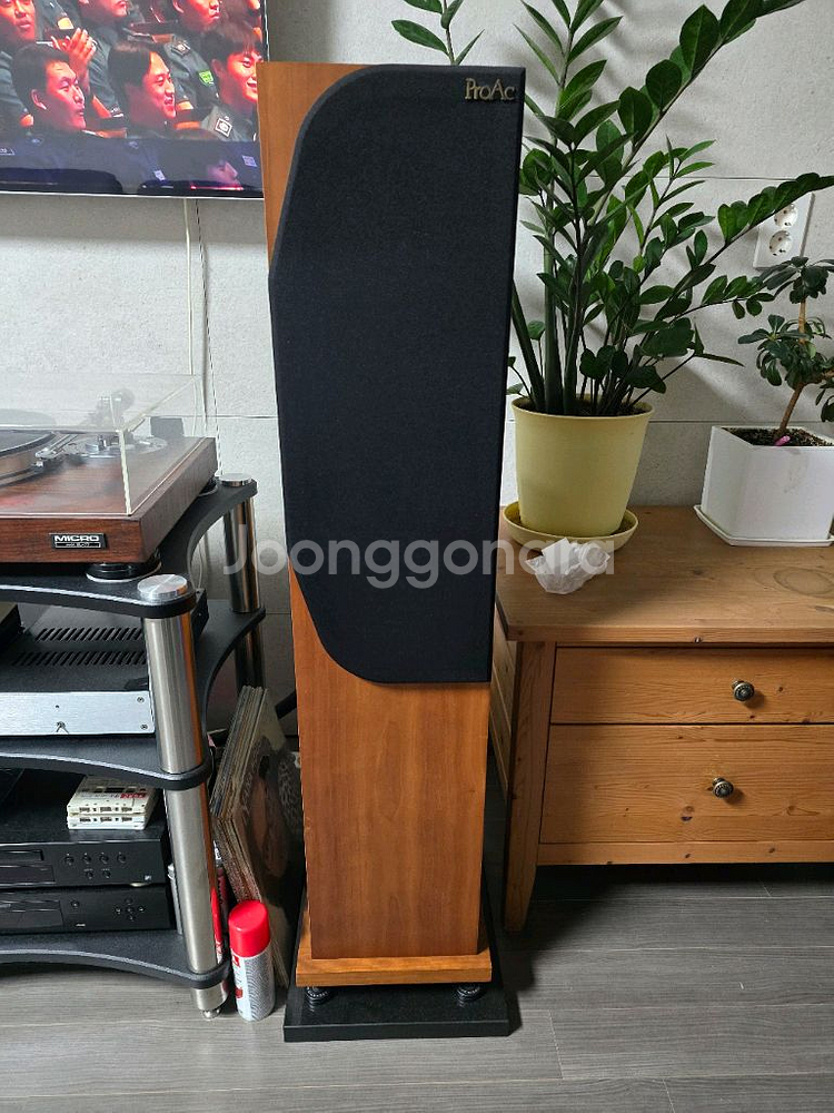 프로악 D25 톨보이 스피커 팝니다--1