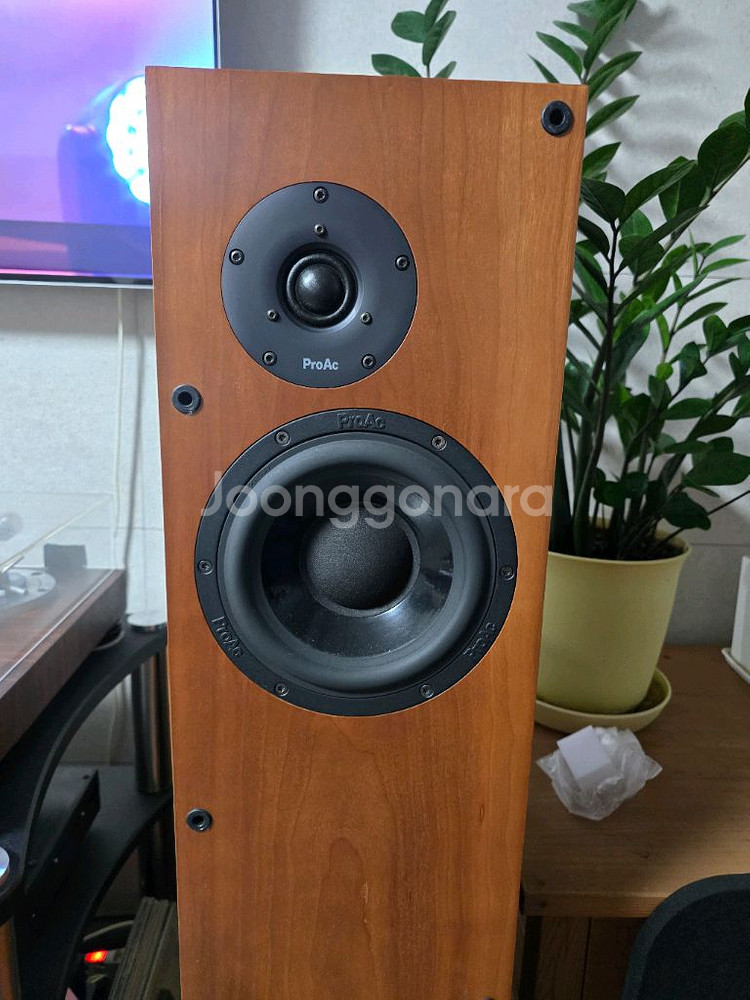 프로악 D25 톨보이 스피커 팝니다--3
