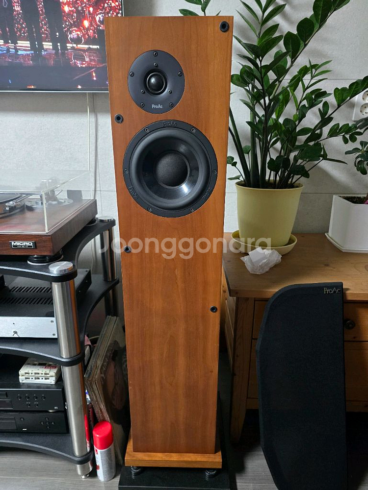 프로악 D25 톨보이 스피커 팝니다--4