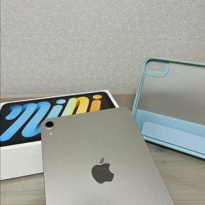 아이패드 미니 6세대 스타라이