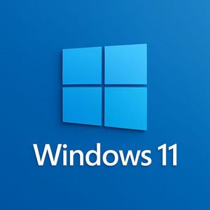 윈도우10 / 윈도우11 프로 홈 ESD 정품키 팝니다