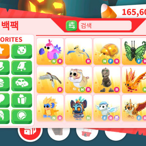 입양하세요 펫사가세요~~~