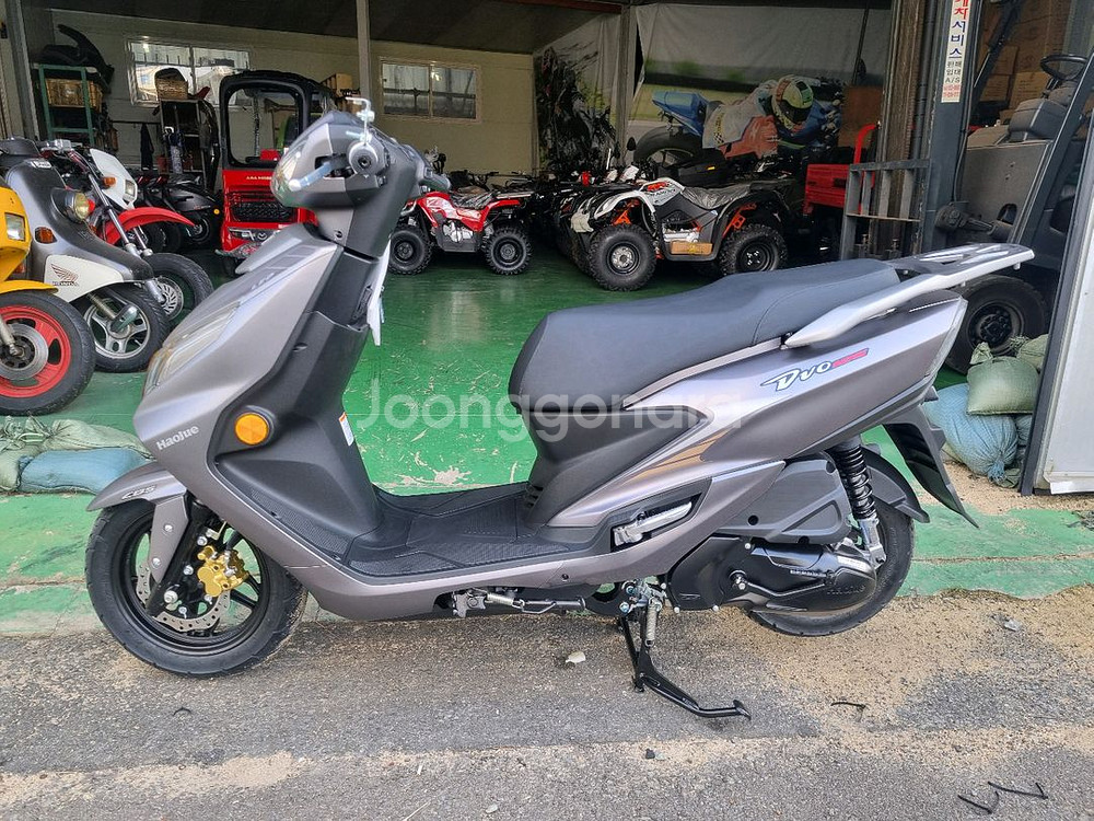 잔고장제로에가까운 디보125 하우즈--0