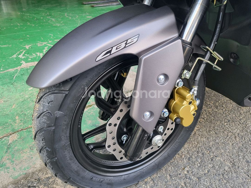 잔고장제로에가까운 디보125 하우즈--7