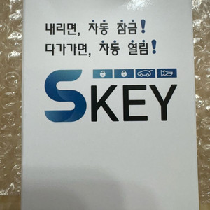 캐스퍼ev skey