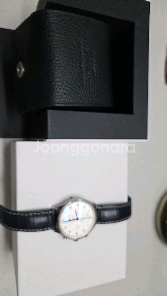 IWC 포르투기저 신형--1