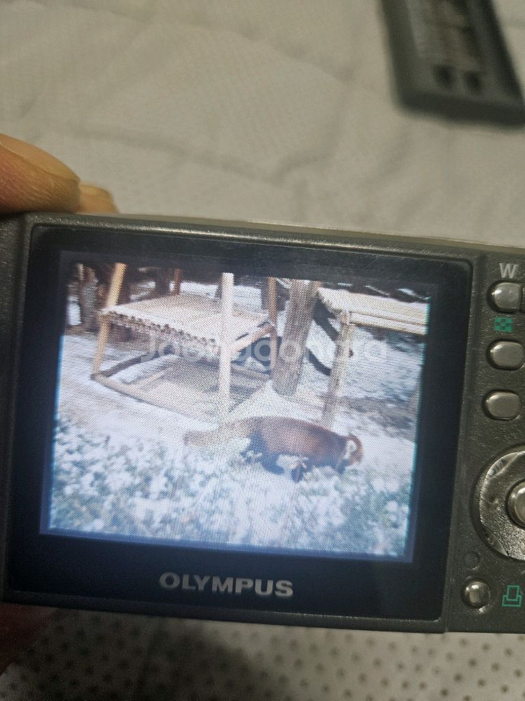 올림푸스 뮤 디지털600 레트로 디카 빈티지 카메라--5
