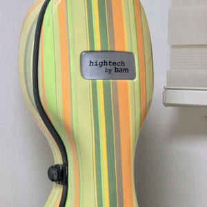 첼로케이스. Bam 첼로전공자케이스