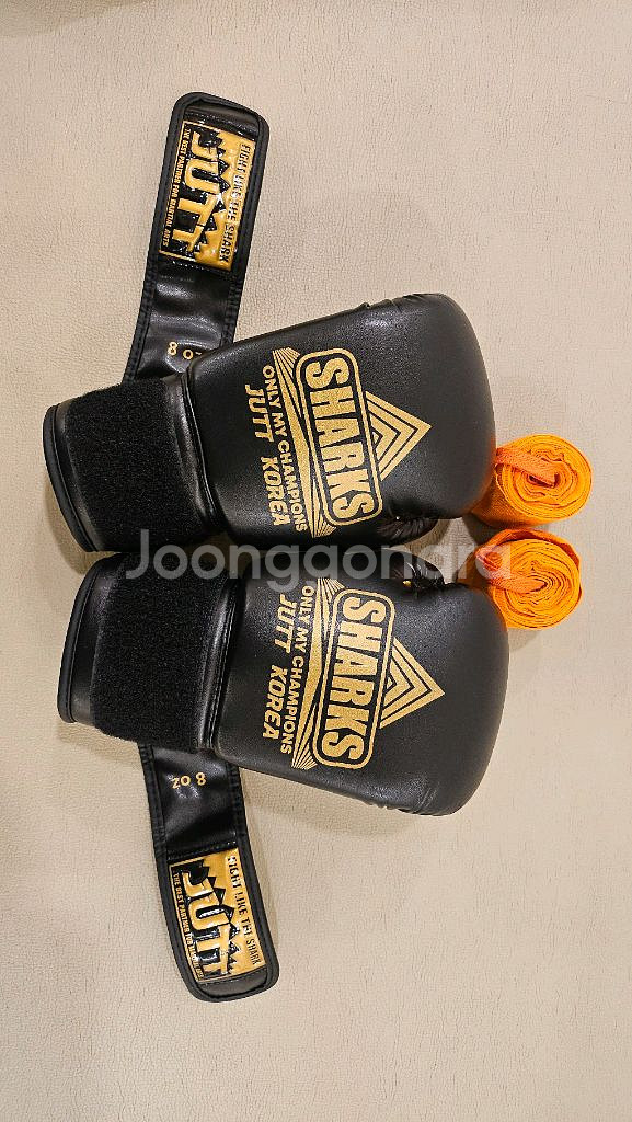 주트코리아 복싱글러브 8oz--1