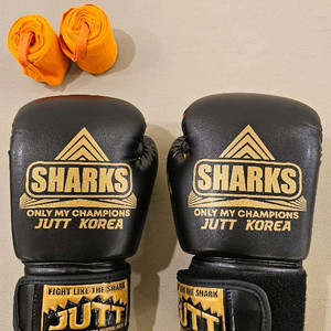 주트코리아 복싱글러브 8oz