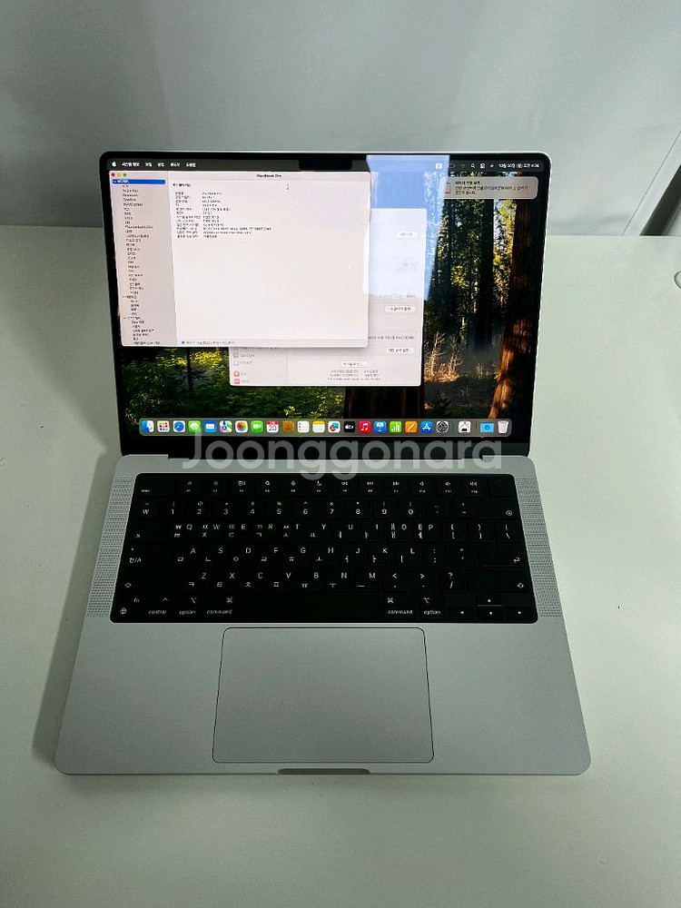 맥북 프로 14 M4 24GB/1TB SS급 풀박--2