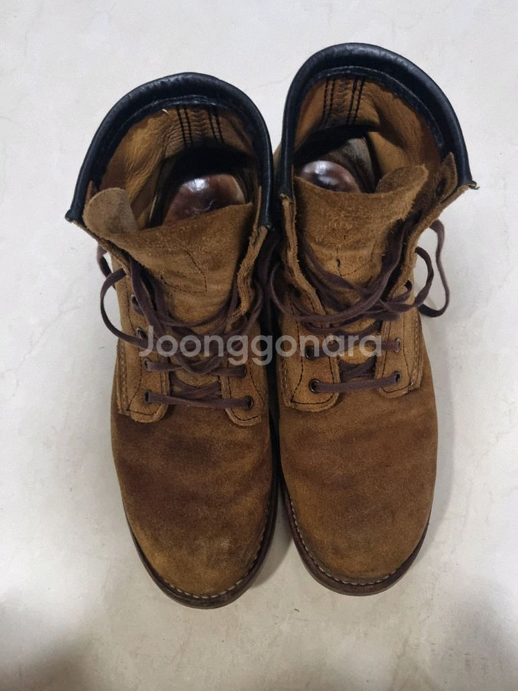 레드윙 블랙스미스 호손뮬스키너--0
