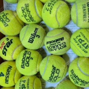 테니스공