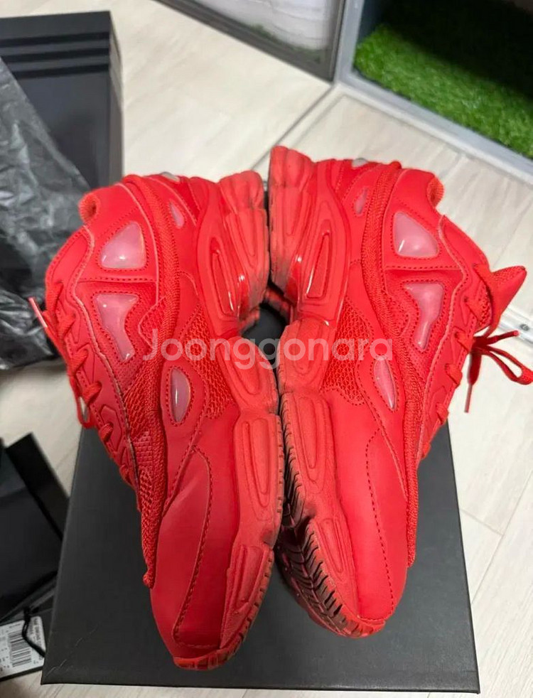 라프시몬스 오즈위고2 레드 265--2