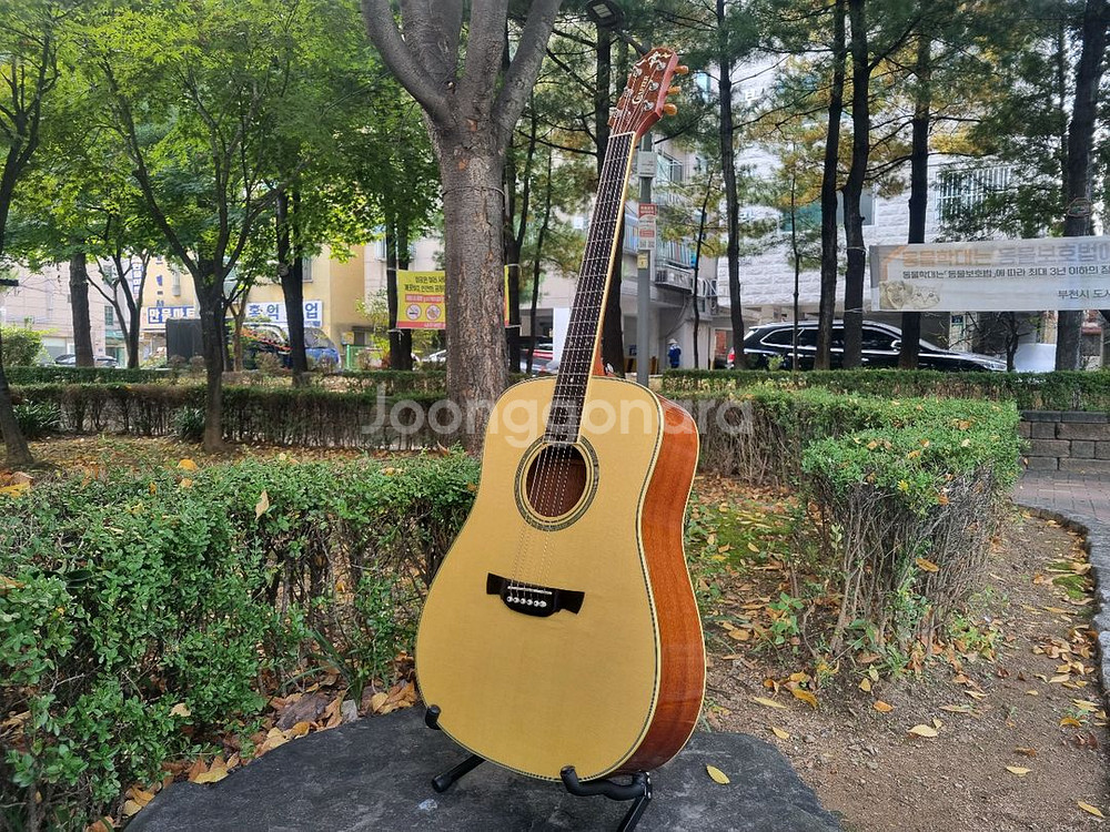 한국산 크래프터 탑솔리드 기타 KD-10 통기타--0